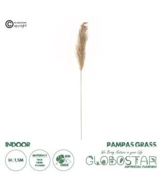 GloboStar® Artificial Garden PAMPAS GRASS 21217 Αποξηραμένο Διακοσμητικό Γρασίδι Πάμπας Μ10 x Π10 x Υ150cm